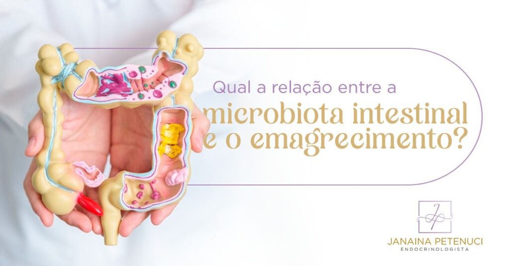 Qual a Relação Entre a Microbiota Intestinal e o Emagrecimento?